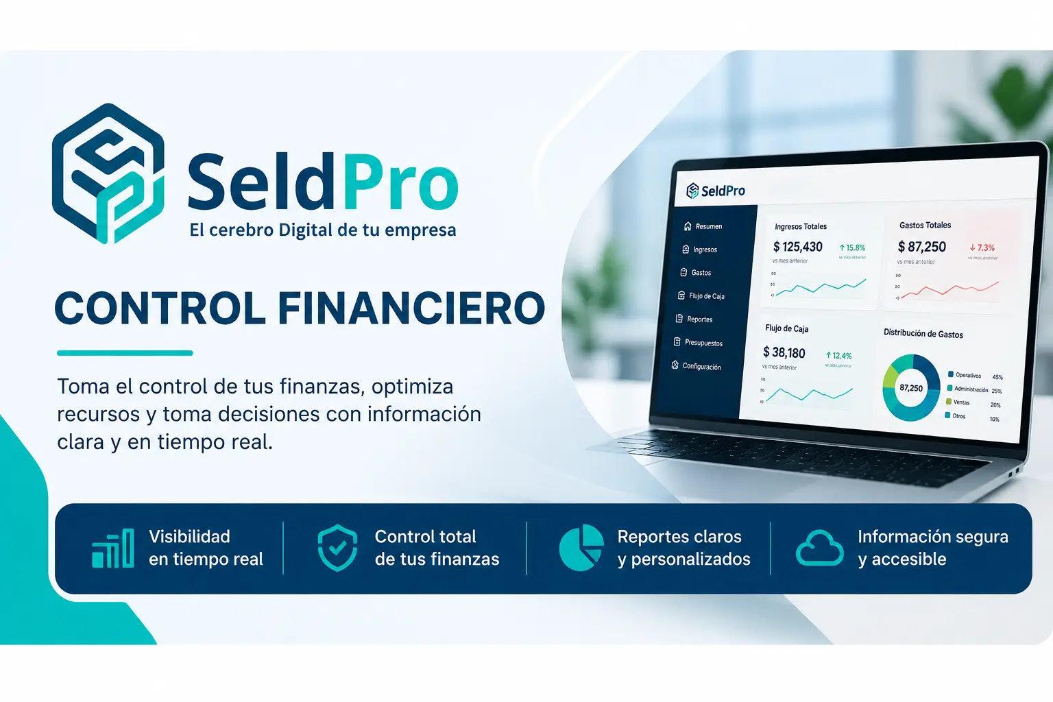 Control Financiero